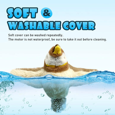 Verander het leven van uw kat met ononderbroken vreugde!